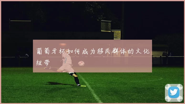 葡萄牙杯如何成为移民群体的文化纽带