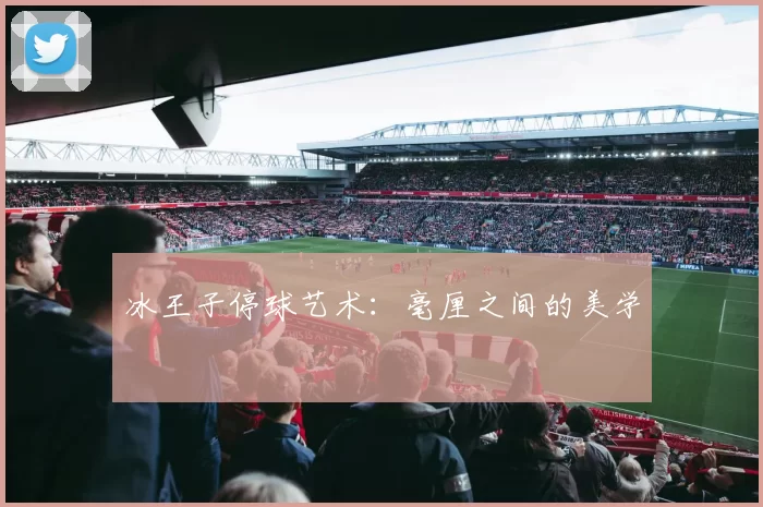 冰王子停球艺术：毫厘之间的美学