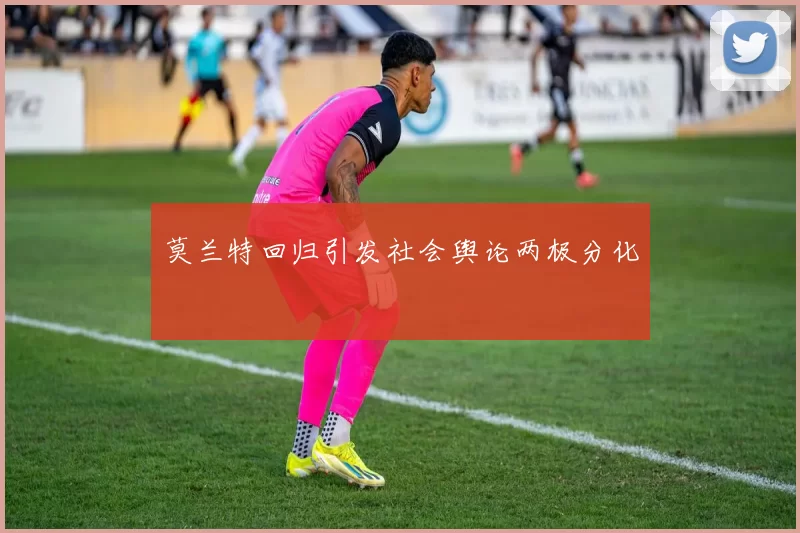 莫兰特回归引发社会舆论两极分化