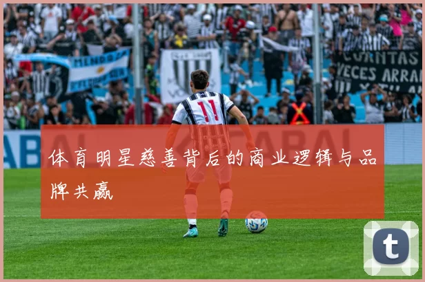 体育明星慈善背后的商业逻辑与品牌共赢