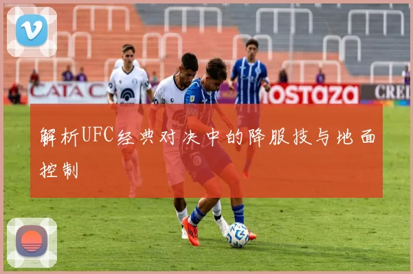 解析UFC经典对决中的降服技与地面控制